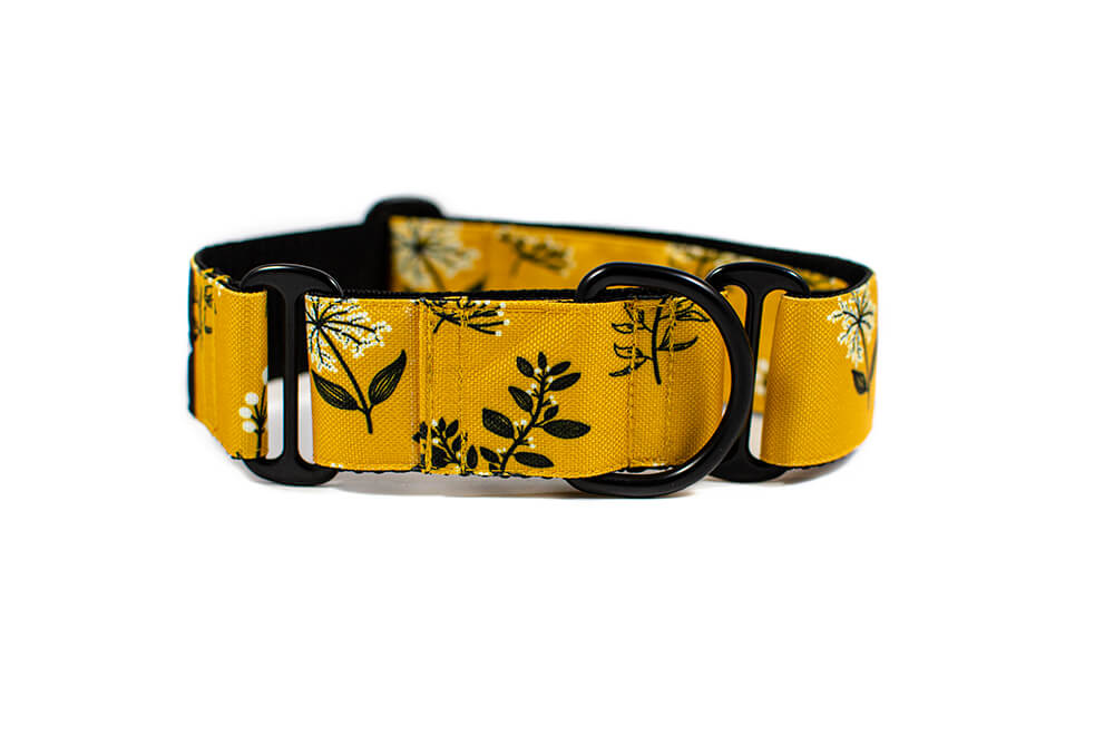 Yellow Yarrow Plus Martingale Collar Durable dog collars Flowdog