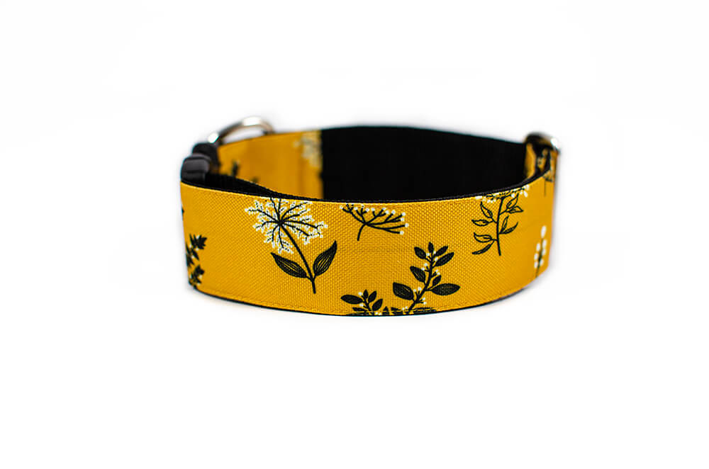 Yellow Yarrow - Plus Buckle Collar