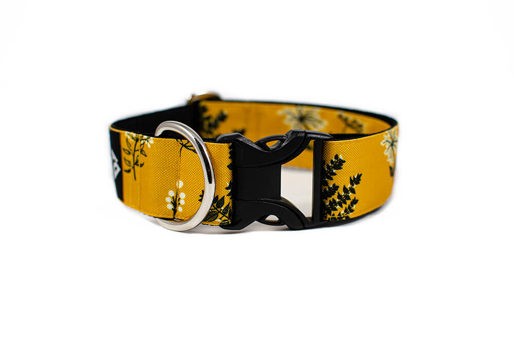 Yellow Yarrow - Plus Buckle Collar