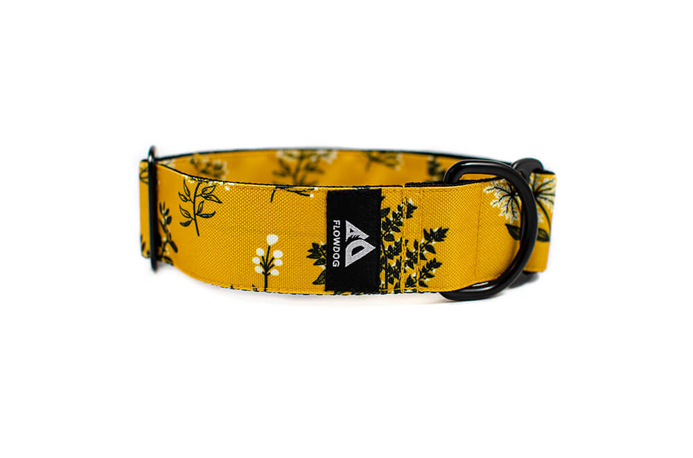 Yellow Yarrow - Plus Slip-on Collar