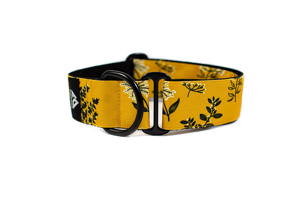 Yellow Yarrow - Plus Slip-on Collar