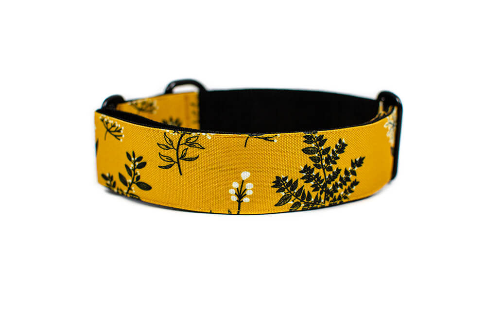 Yellow Yarrow - Plus Slip-on Collar