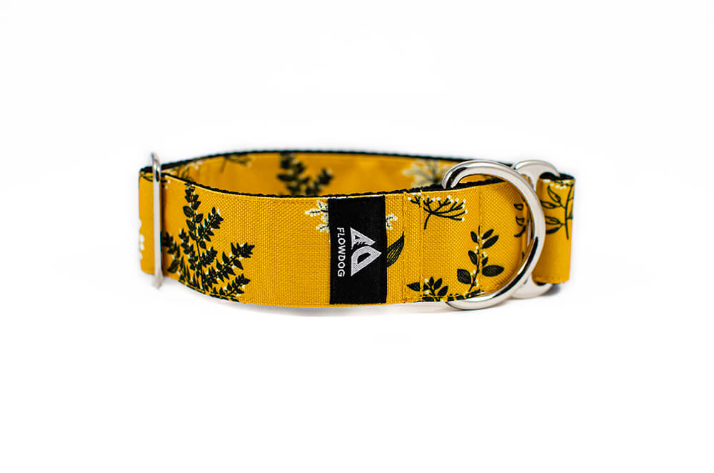 Yellow Yarrow - Plus Slip-on Collar