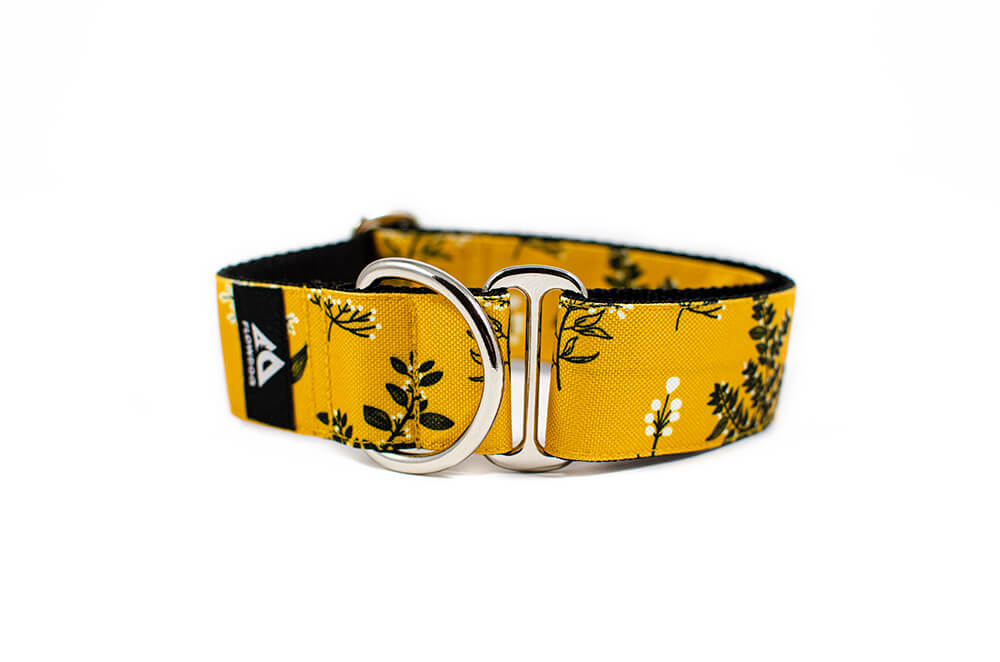 Yellow Yarrow - Plus Slip-on Collar