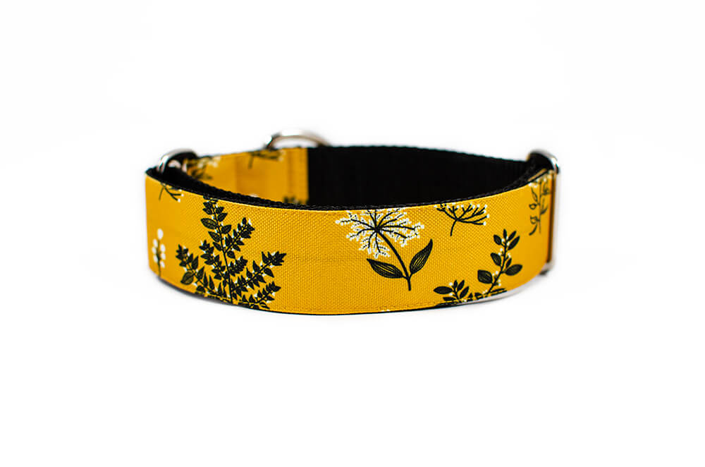 Yellow Yarrow - Plus Slip-on Collar