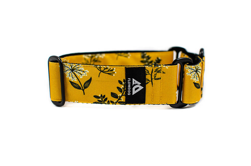 Yellow Yarrow - Plus Martingale Collar