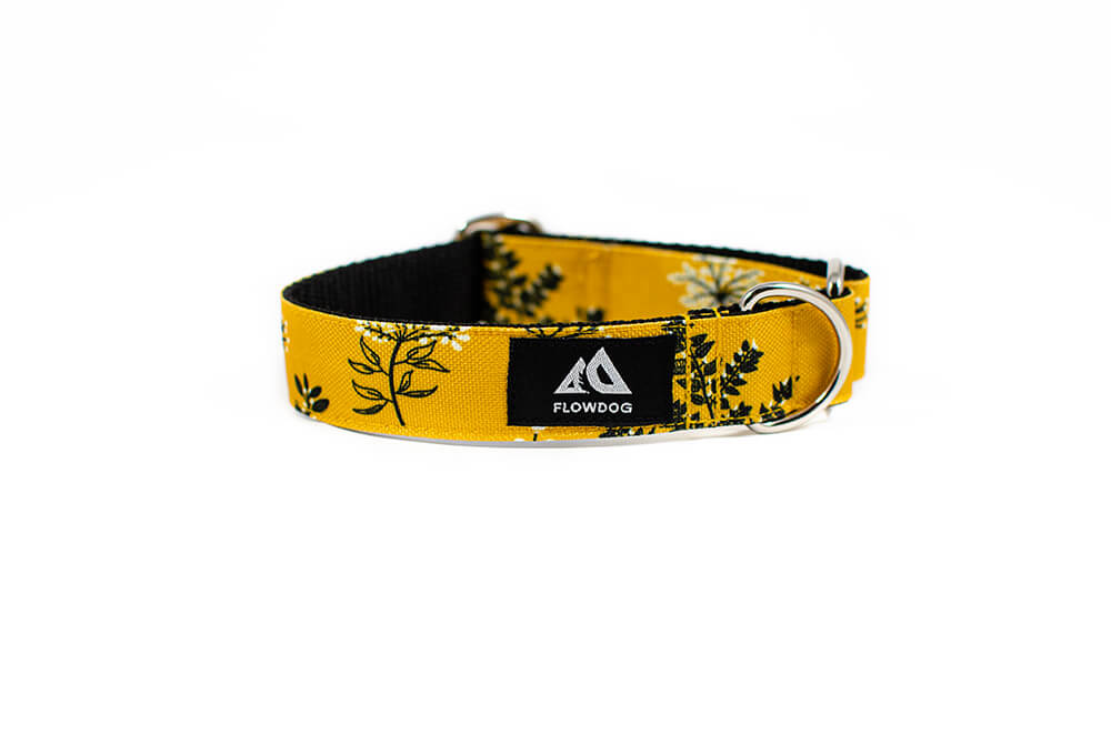 Yellow Yarrow - Plus Slip-on Collar