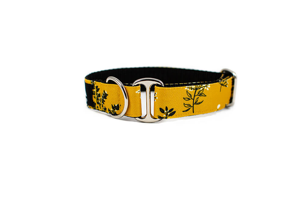 Yellow Yarrow - Plus Slip-on Collar