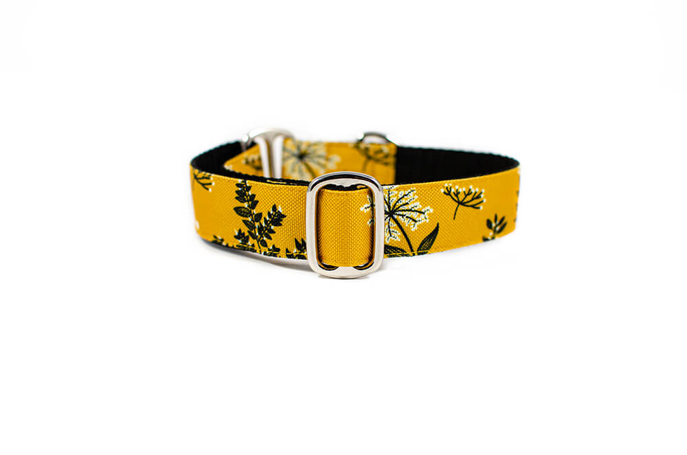 Yellow Yarrow - Plus Slip-on Collar