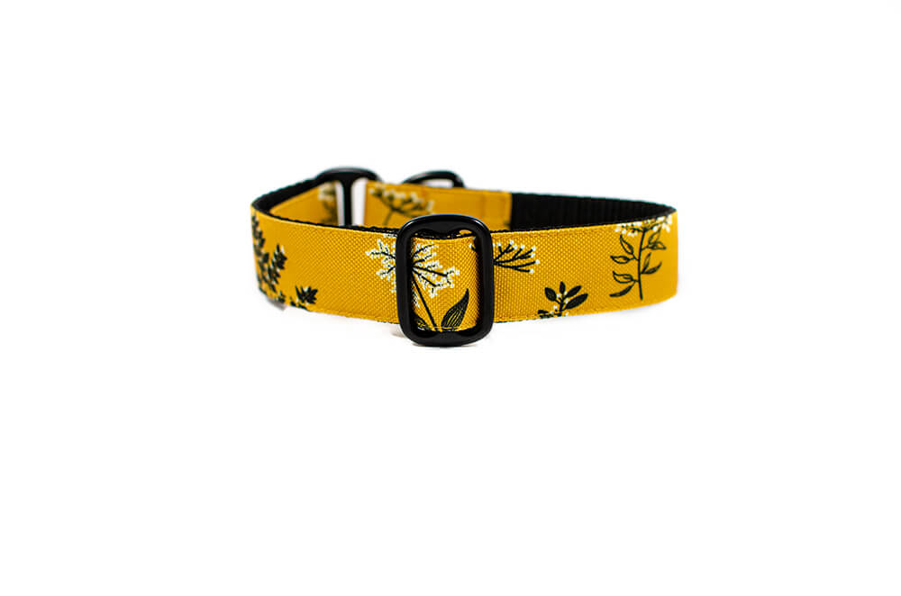 Yellow Yarrow - Plus Slip-on Collar