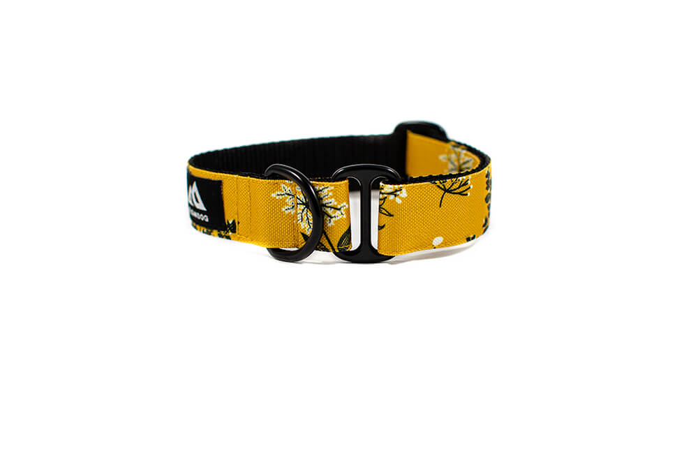 Yellow Yarrow - Plus Slip-on Collar