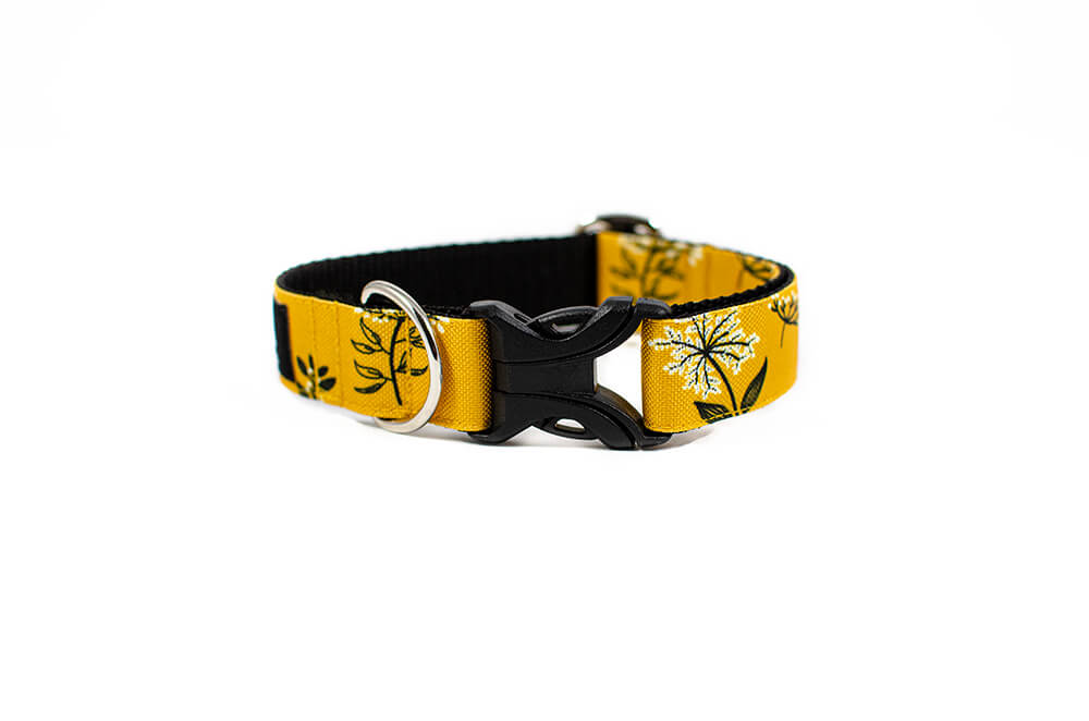 Yellow Yarrow - Plus Buckle Collar