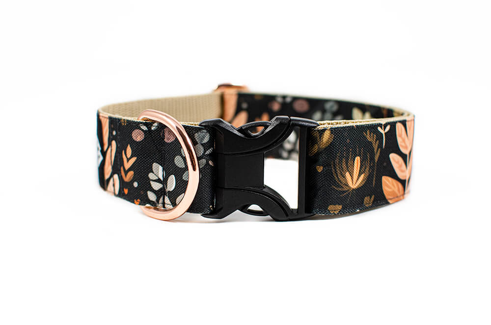 Heliopsis - Plus Buckle Collar