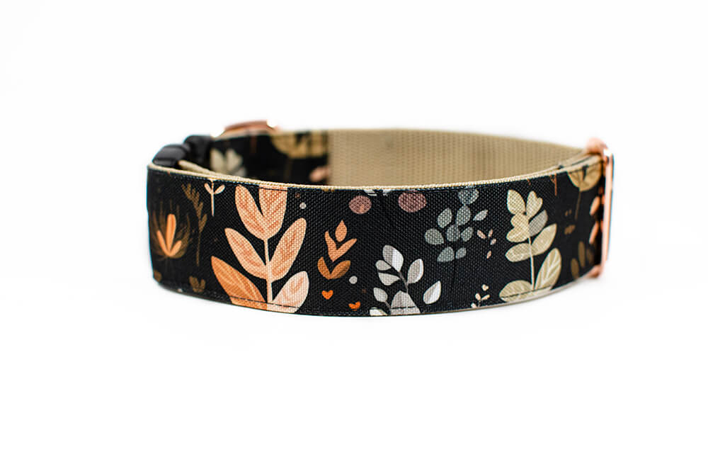 Heliopsis - Plus Buckle Collar