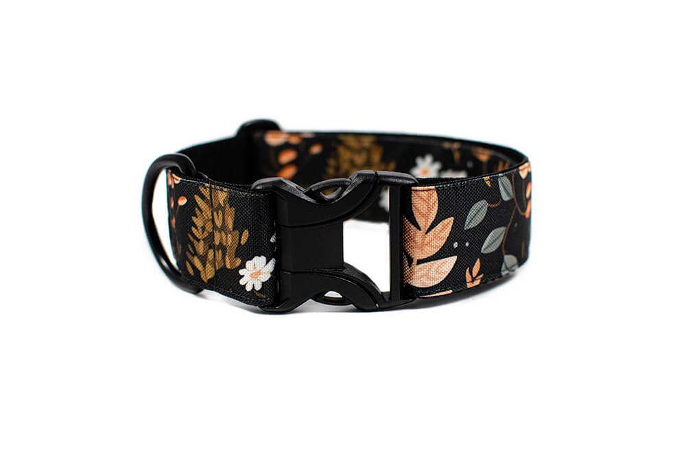 Heliopsis - Plus Buckle Collar