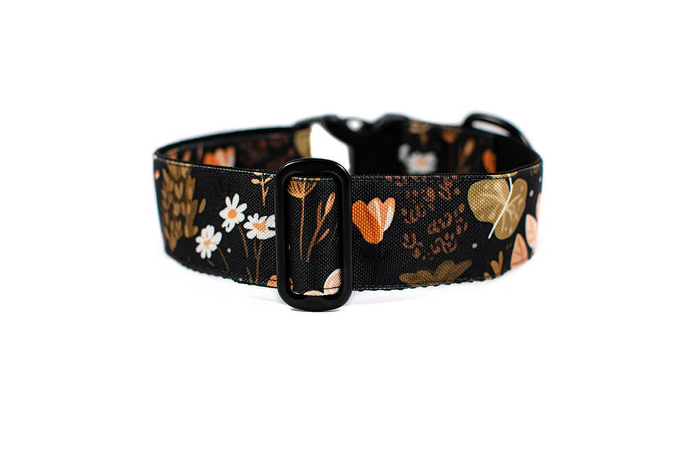 Heliopsis - Plus Buckle Collar