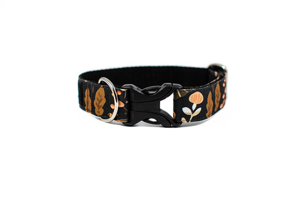 Heliopsis - Plus Buckle Collar