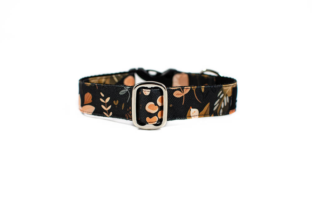 Heliopsis - Plus Buckle Collar