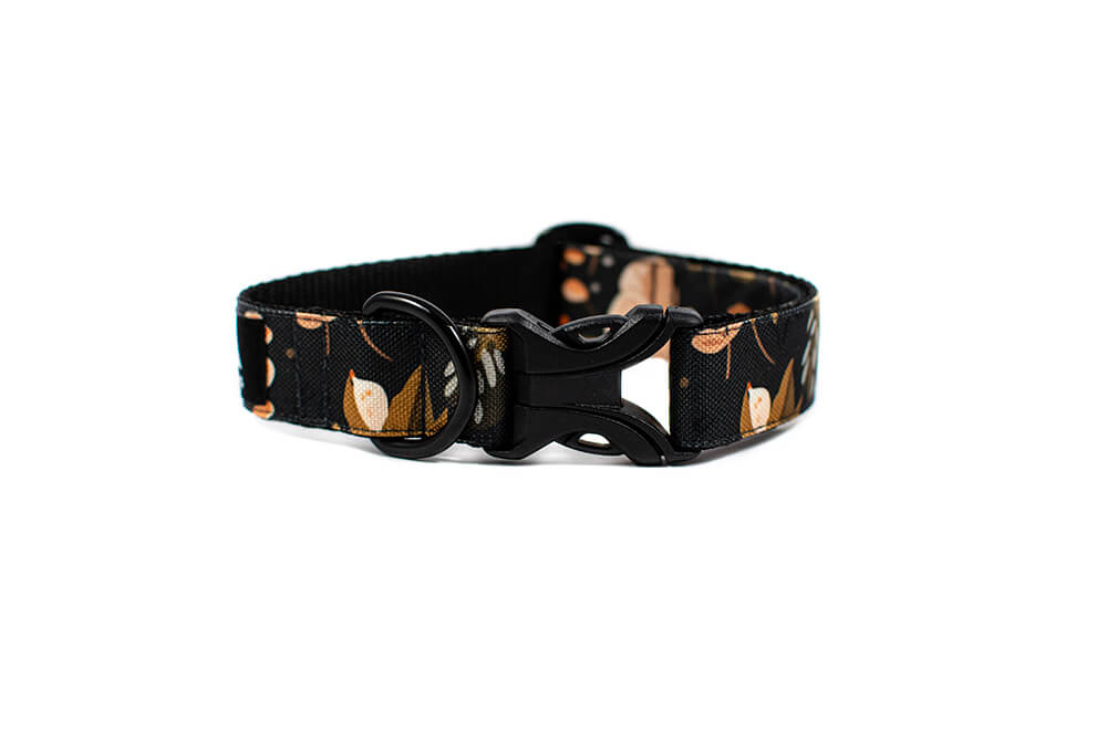 Heliopsis - Plus Buckle Collar