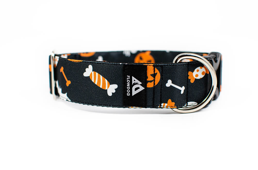 Halloween - Plus Buckle Collar