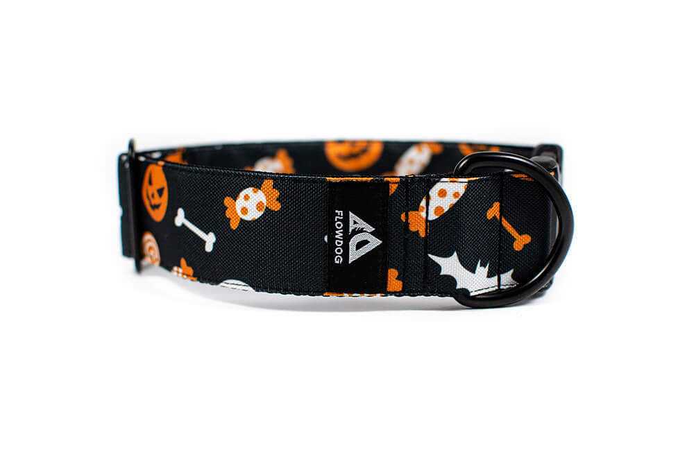 Halloween - Plus Buckle Collar