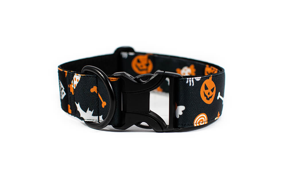 Halloween - Plus Buckle Collar