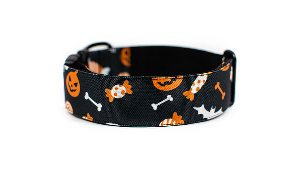 Halloween - Plus Buckle Collar