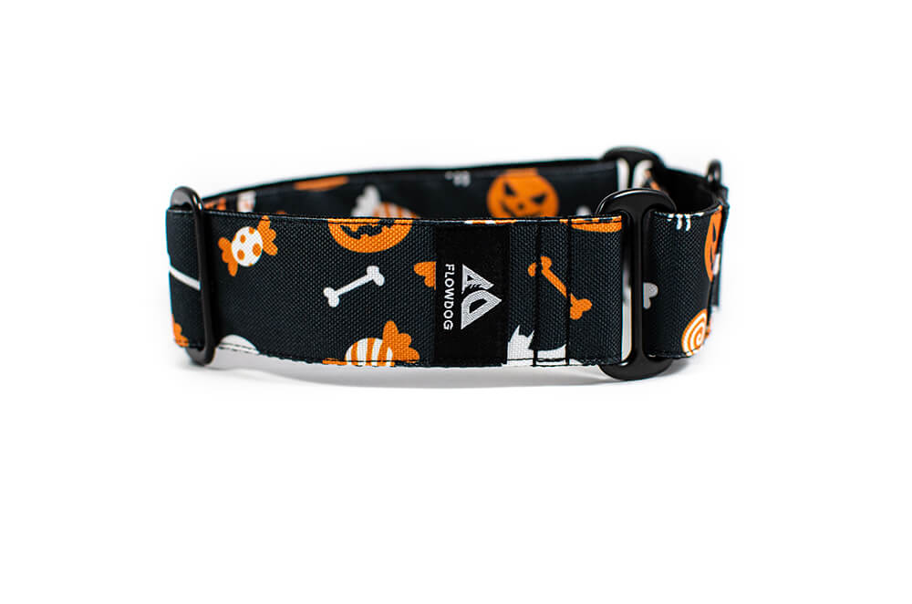 Halloween - Plus Martingale Collar