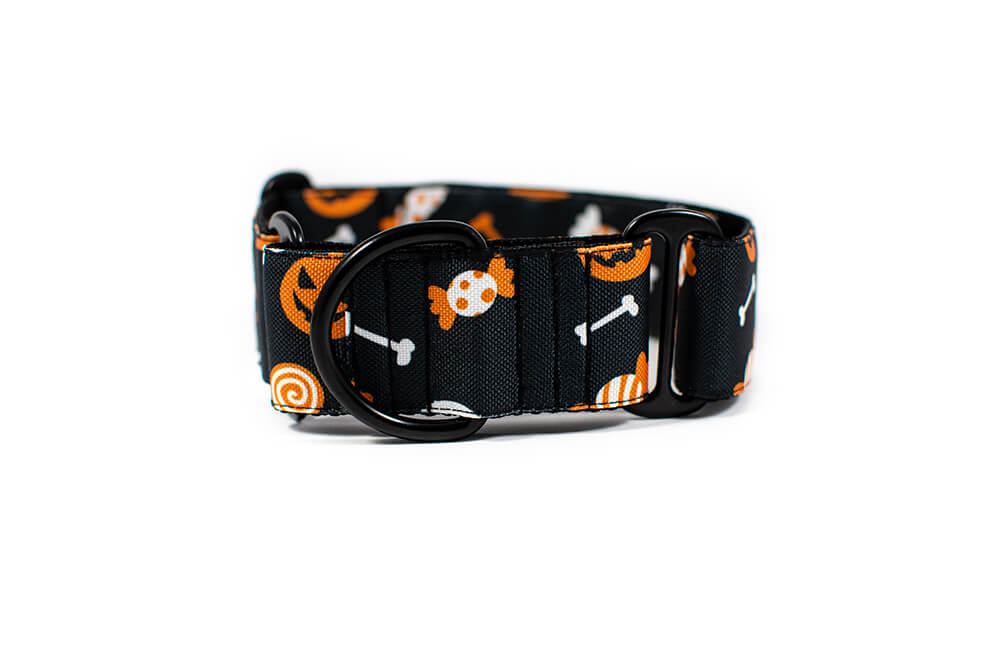 Halloween - Plus Martingale Collar