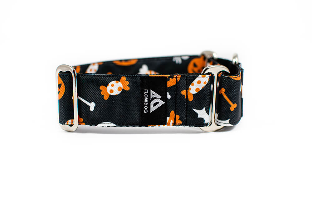 Halloween - Plus Martingale Collar