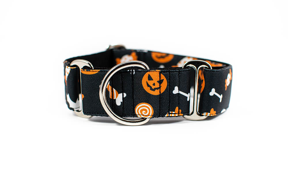 Halloween - Plus Martingale Collar