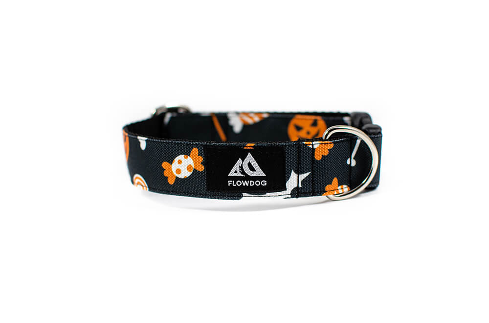 Halloween - Plus Buckle Collar