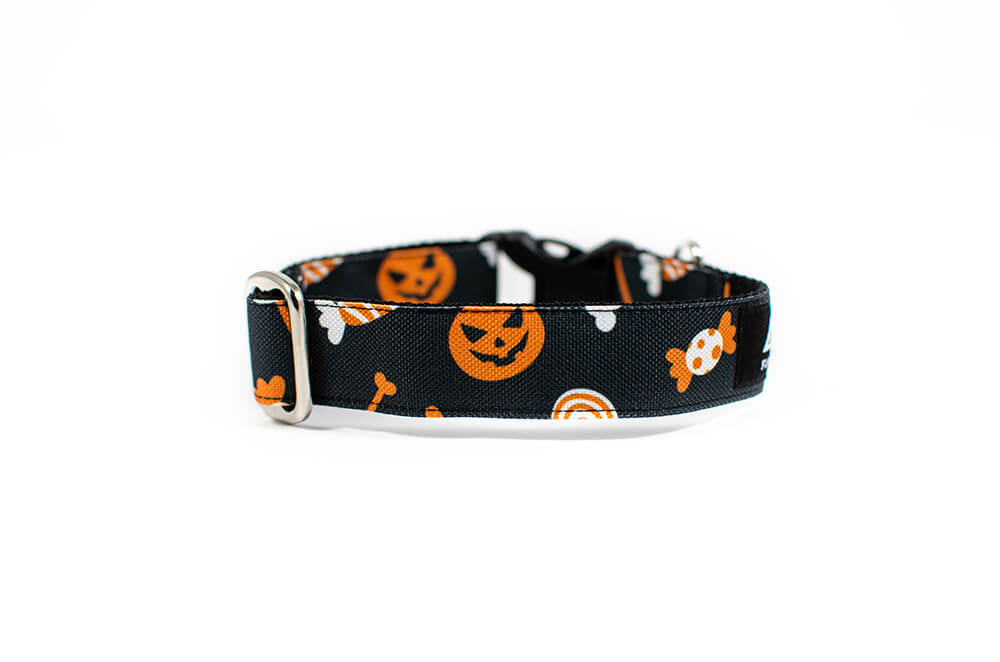 Halloween - Plus Buckle Collar