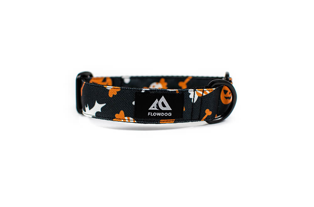 Halloween - Plus Slip-on Collar