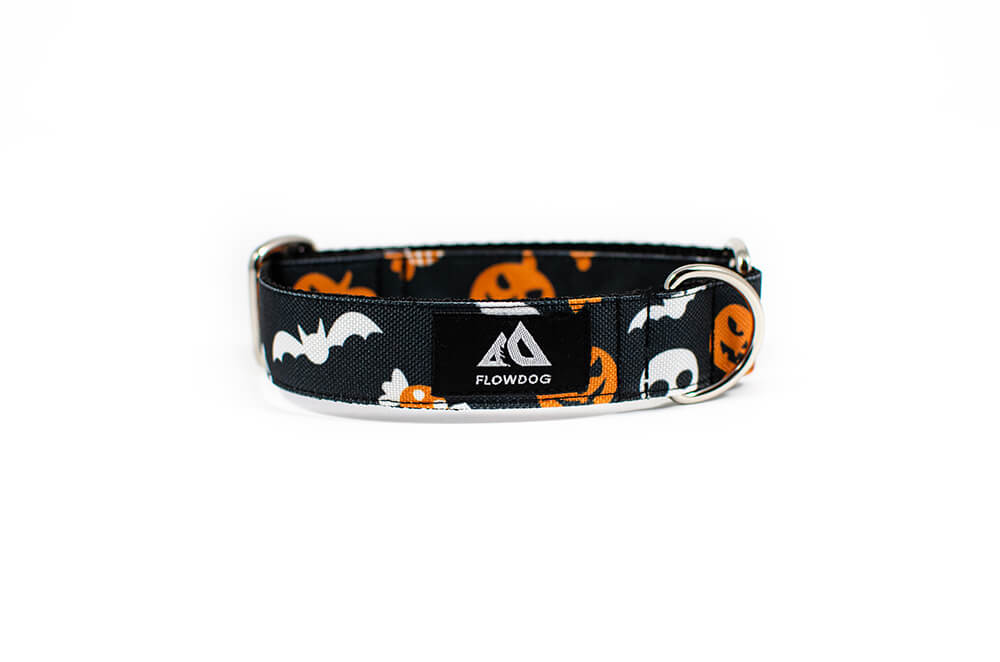 Halloween - Plus Slip-on Collar