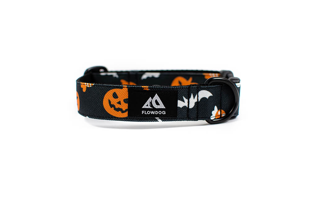 Halloween - Plus Buckle Collar