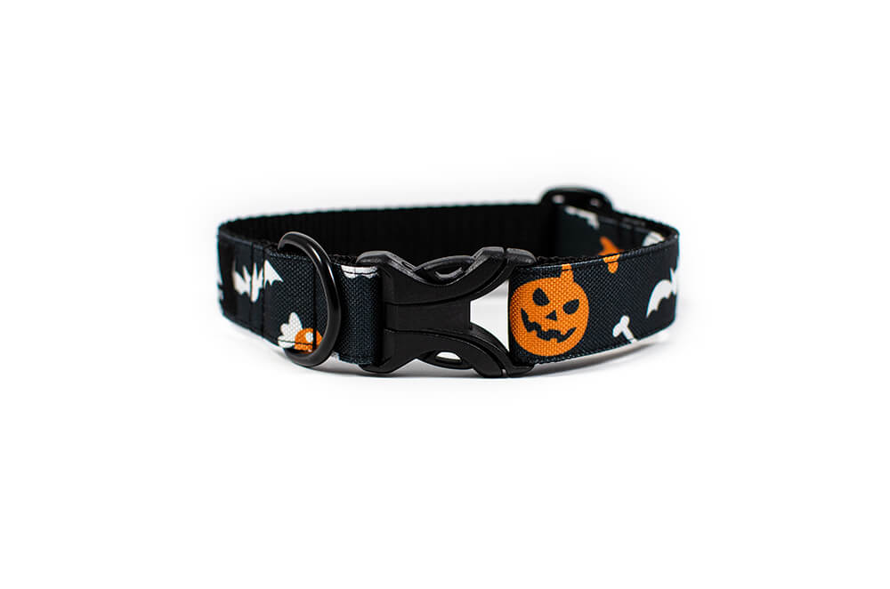 Halloween - Plus Buckle Collar