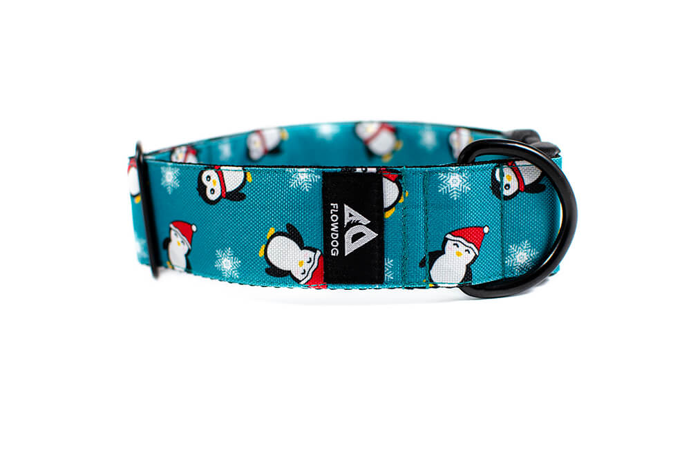 Penguin - Plus Buckle Collar