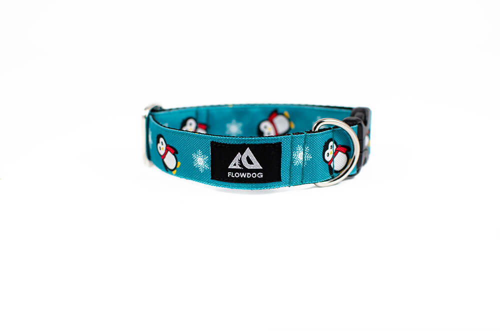 Penguin - Plus Buckle Collar