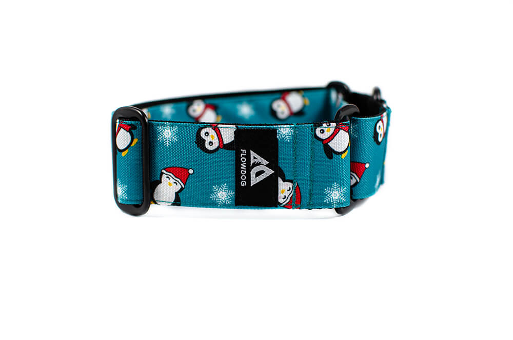 Penguin - Plus Martingale Collar