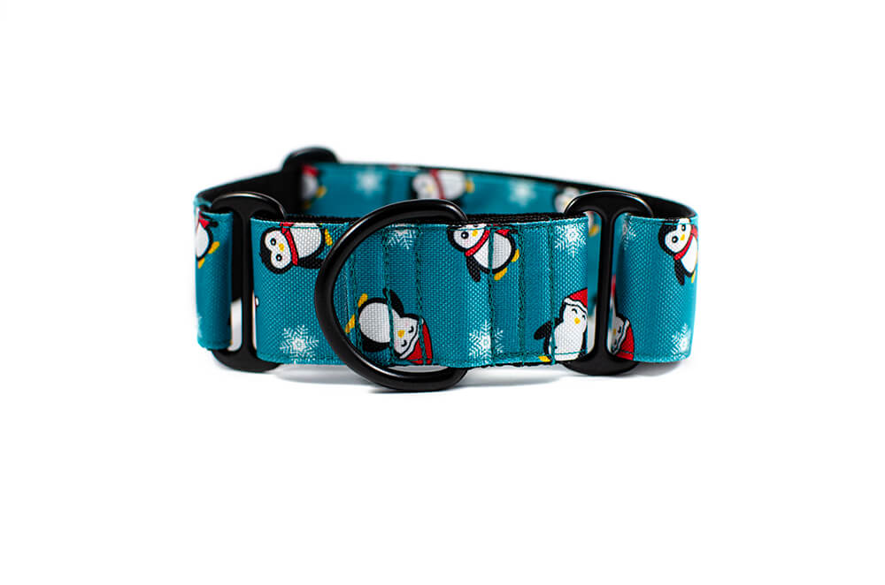 Penguin - Plus Martingale Collar