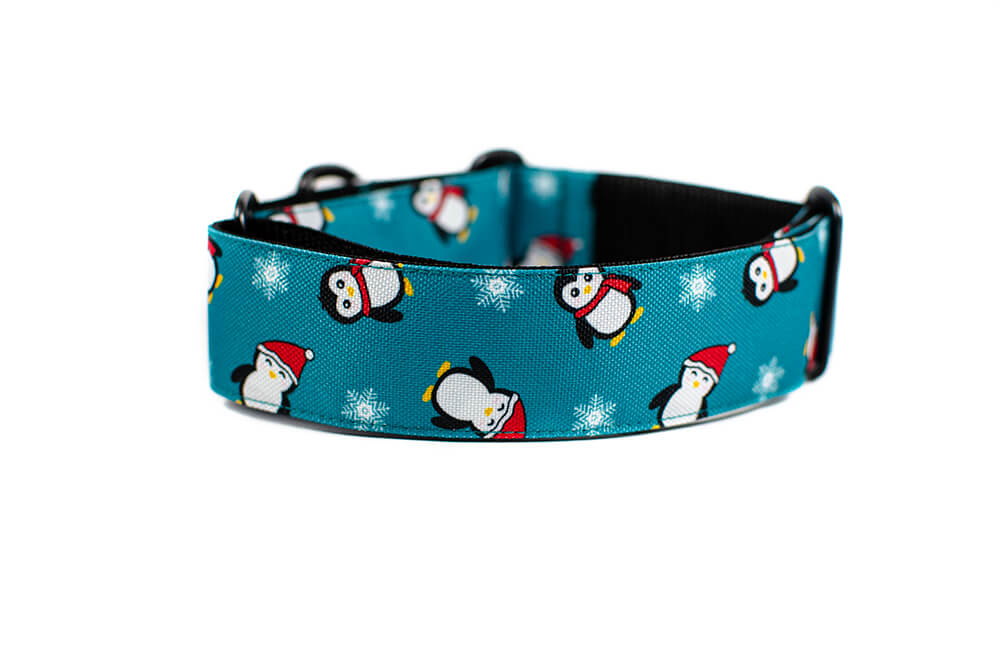 Penguin - Plus Martingale Collar