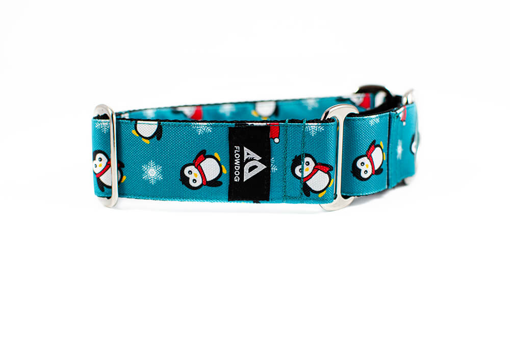 Penguin - Plus Martingale Collar