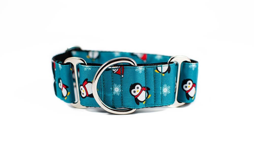 Penguin - Plus Martingale Collar