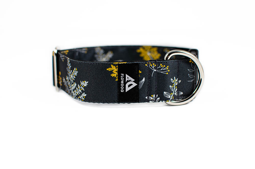 Grey Yarrow - Plus Buckle Collar