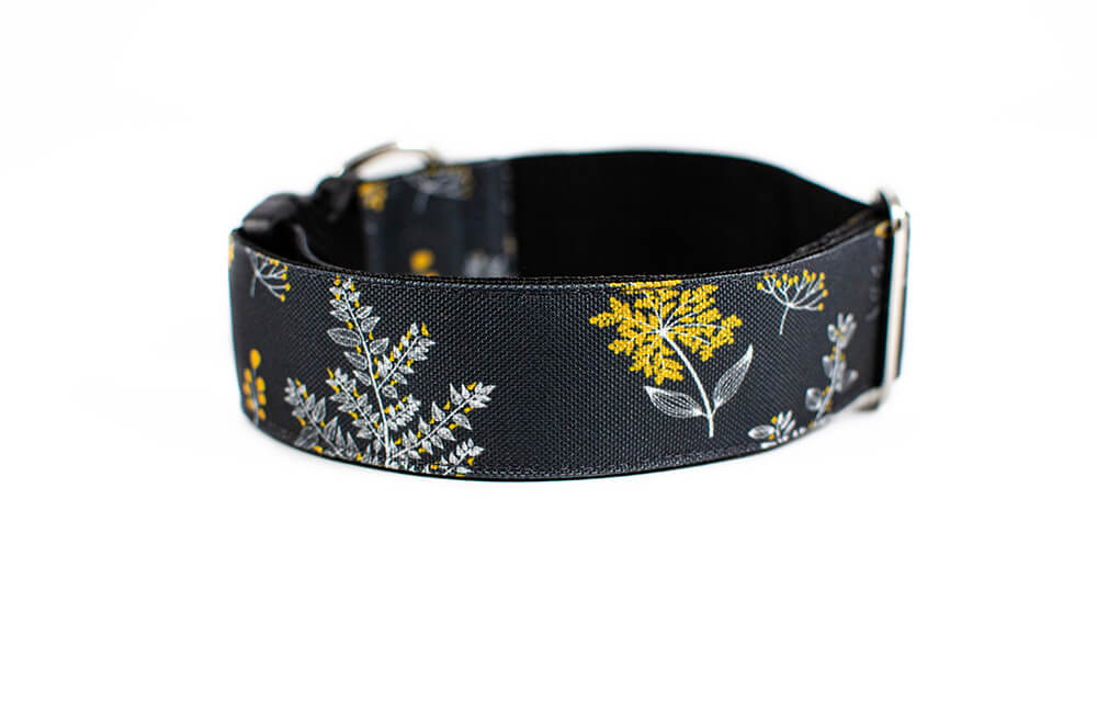 Grey Yarrow - Plus Buckle Collar