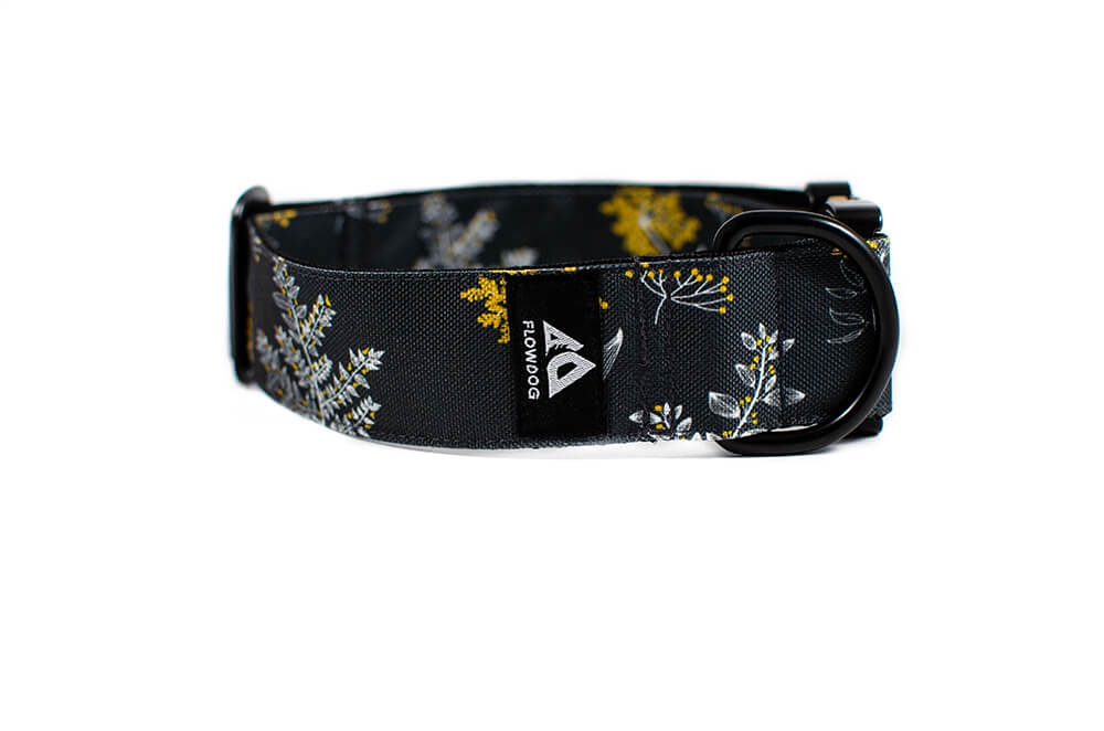 Grey Yarrow - Plus Buckle Collar