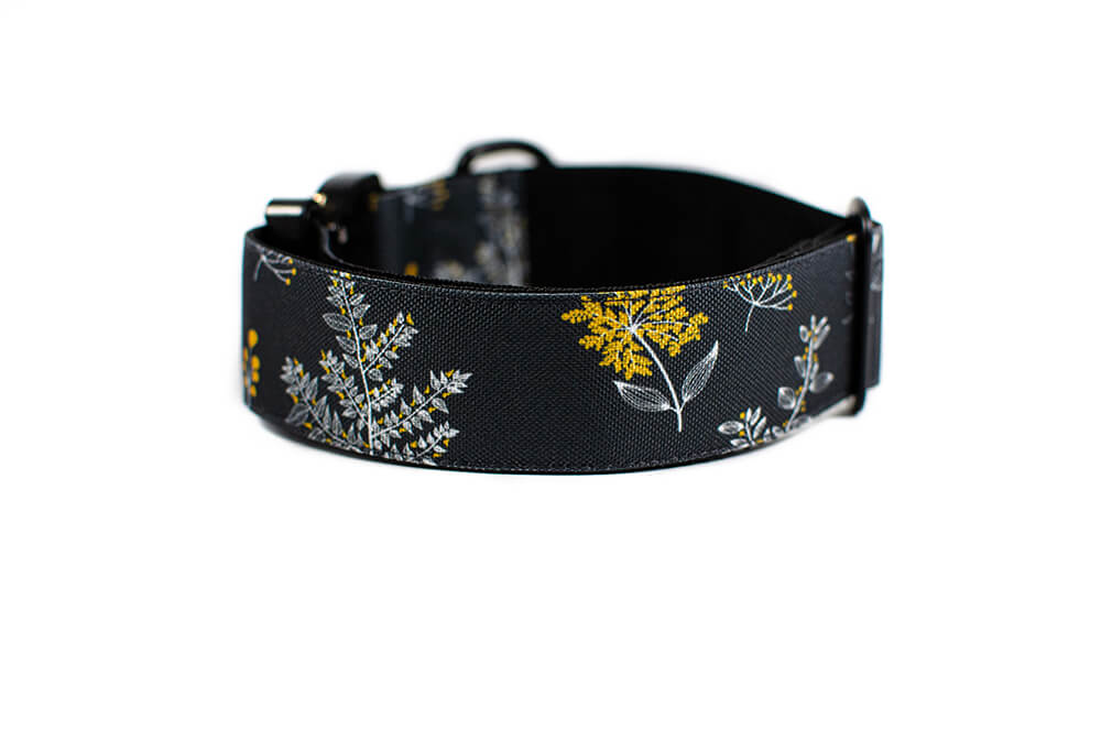 Grey Yarrow - Plus Buckle Collar