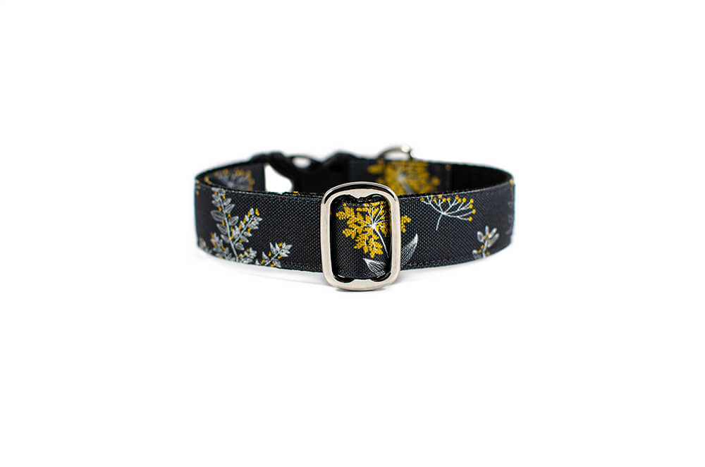 Grey Yarrow - Plus Buckle Collar