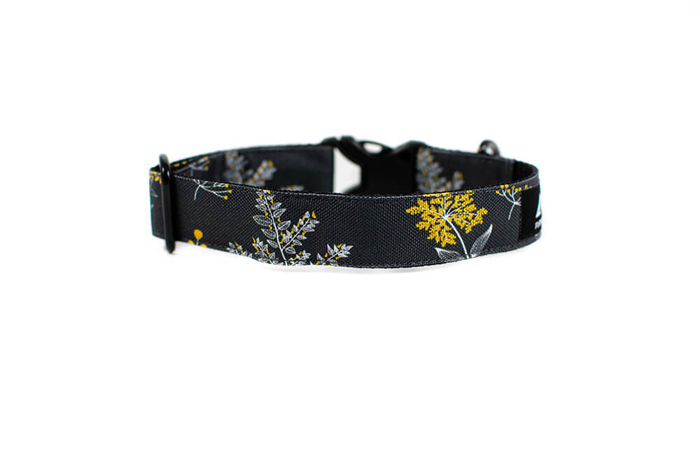 Grey Yarrow - Plus Buckle Collar